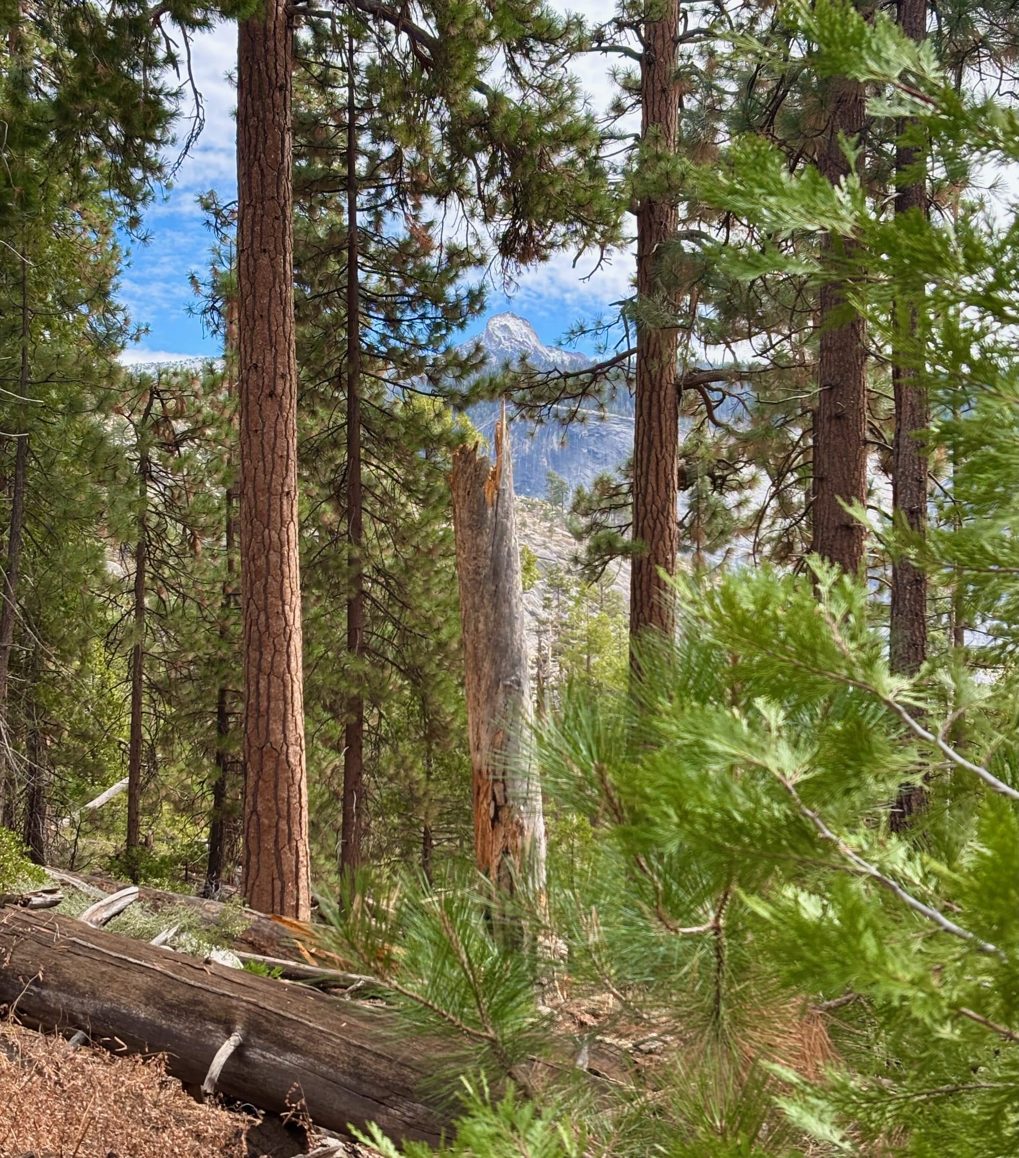 My First Backpacking Trip, Day 2: Little Yosemite Valley To Merced Lake