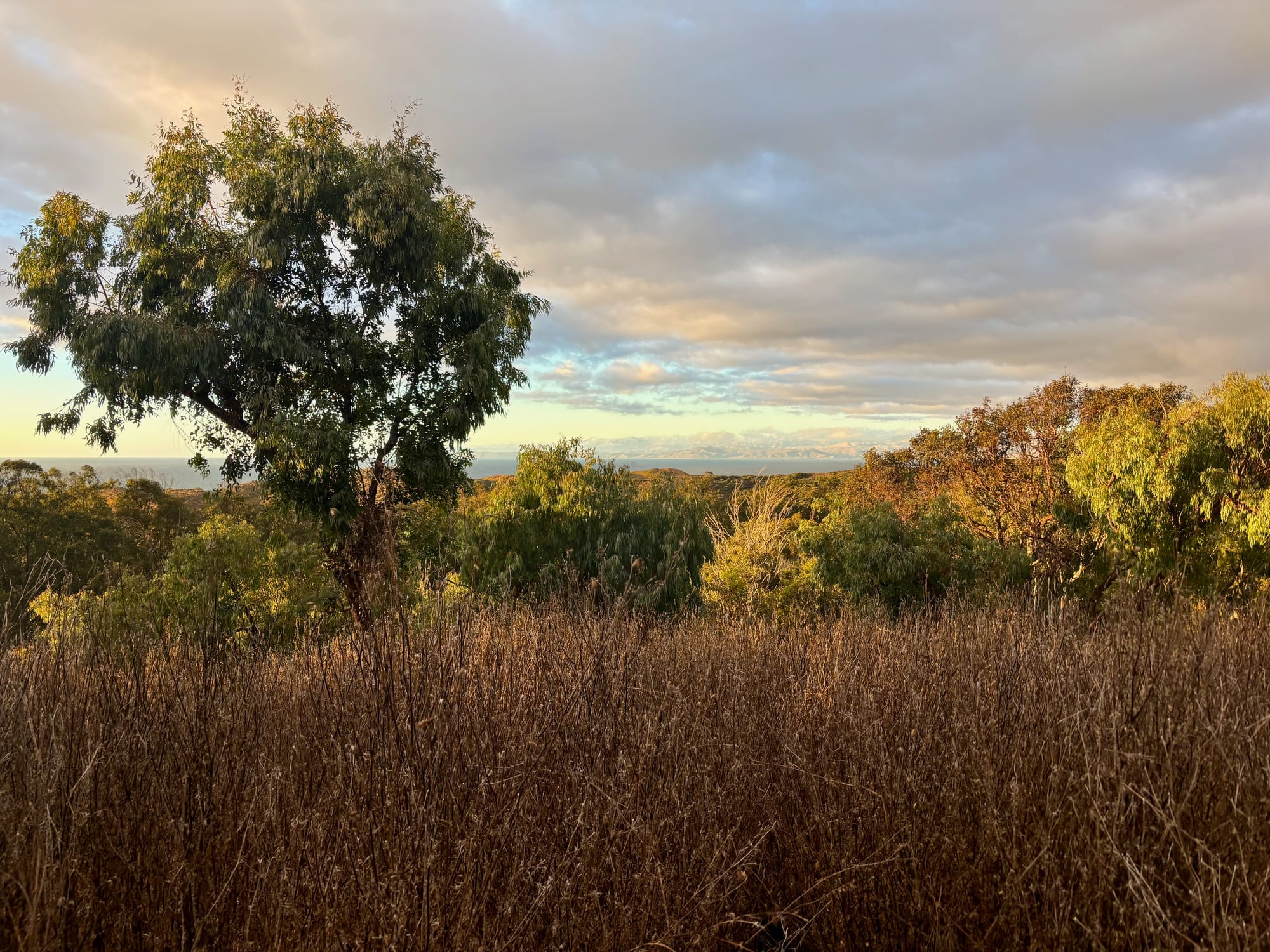 Hiking Photojournal: Montaña de Oro Bluff Trail + Spooner's Cove