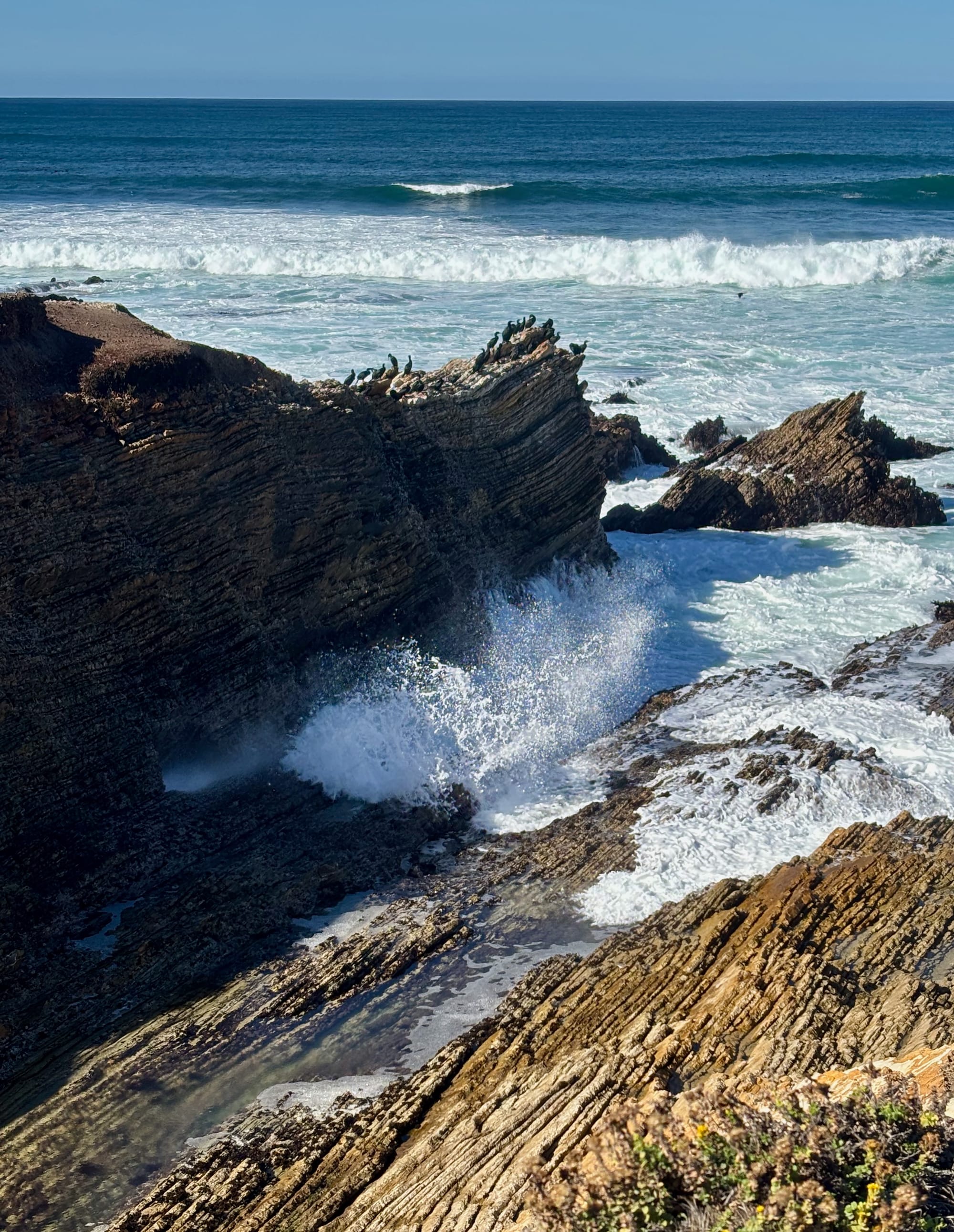 Hiking Photojournal: Montaña de Oro Bluff Trail + Spooner's Cove