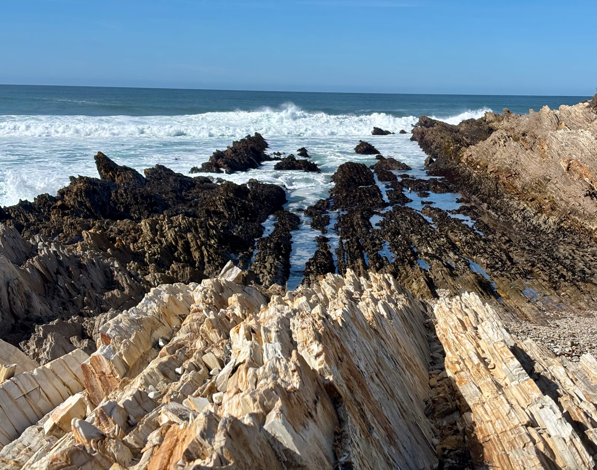 Hiking Photojournal: Montaña de Oro Bluff Trail + Spooner's Cove