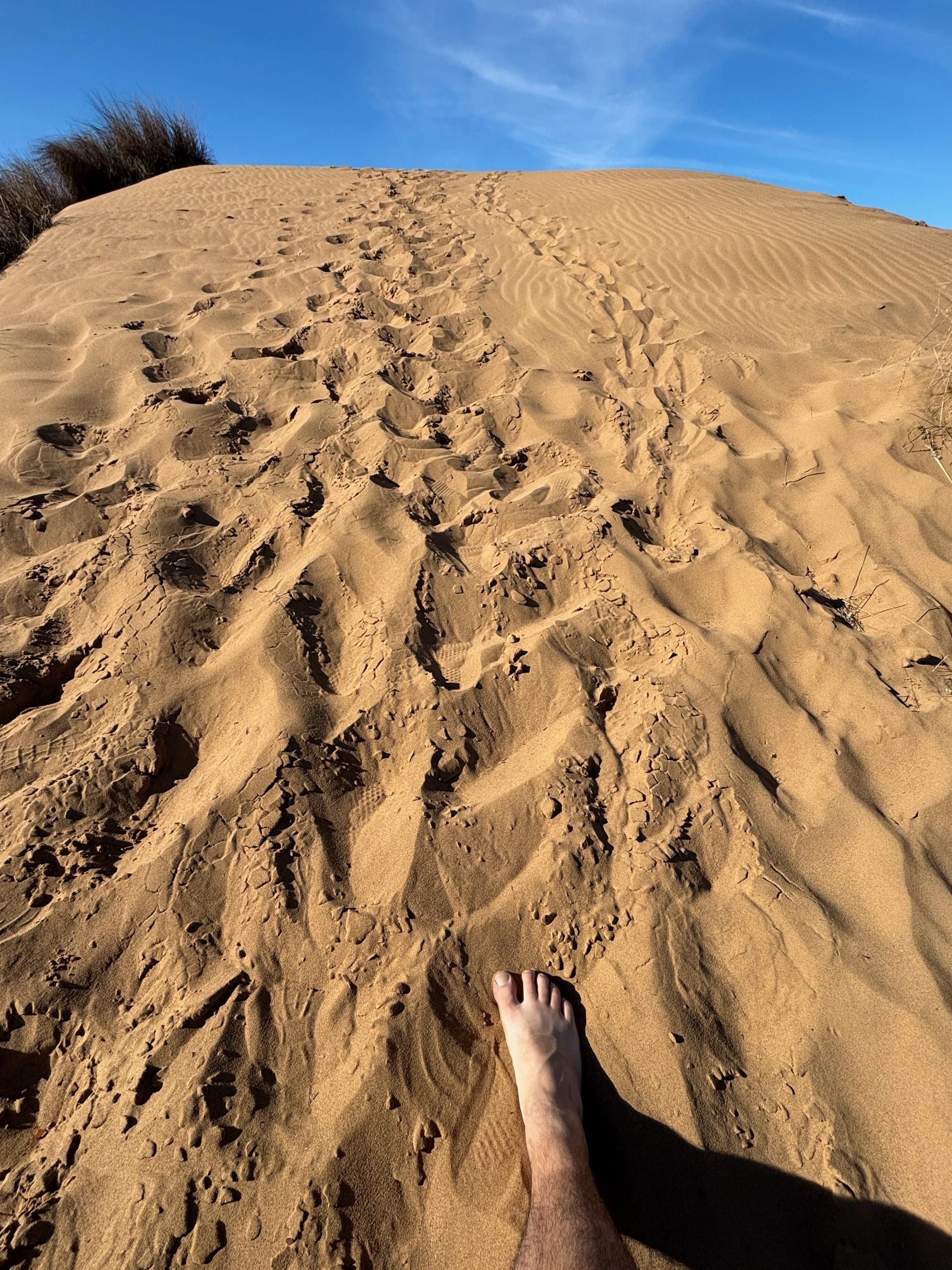 Hiking Photojournal: Montaña de Oro Bluff Trail + Spooner's Cove