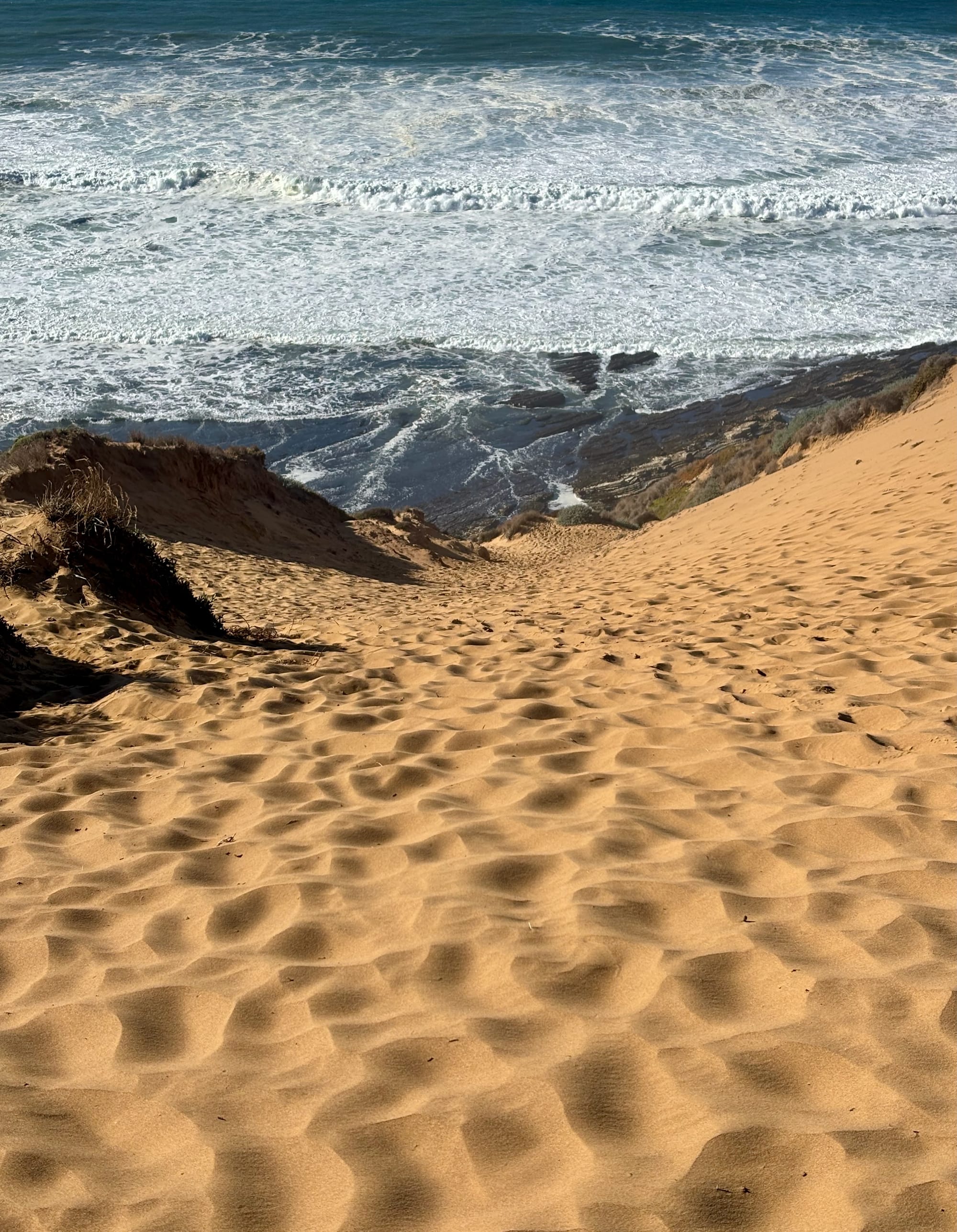 Hiking Photojournal: Montaña de Oro Bluff Trail + Spooner's Cove