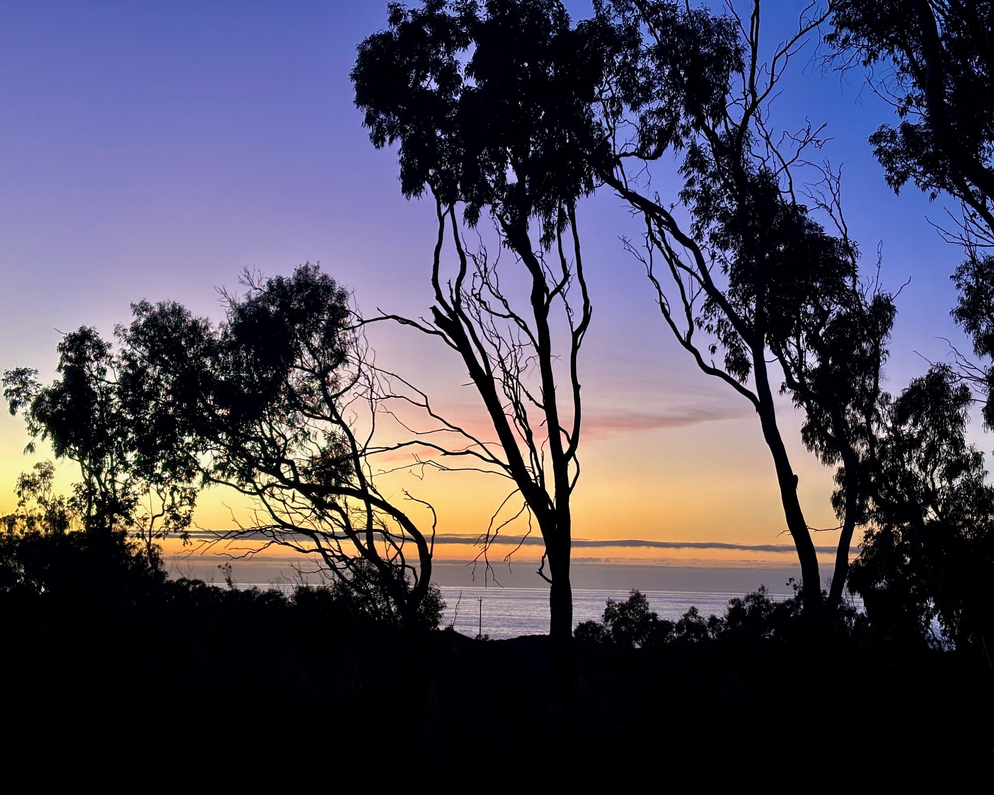 Hiking Photojournal: Montaña de Oro Bluff Trail + Spooner's Cove