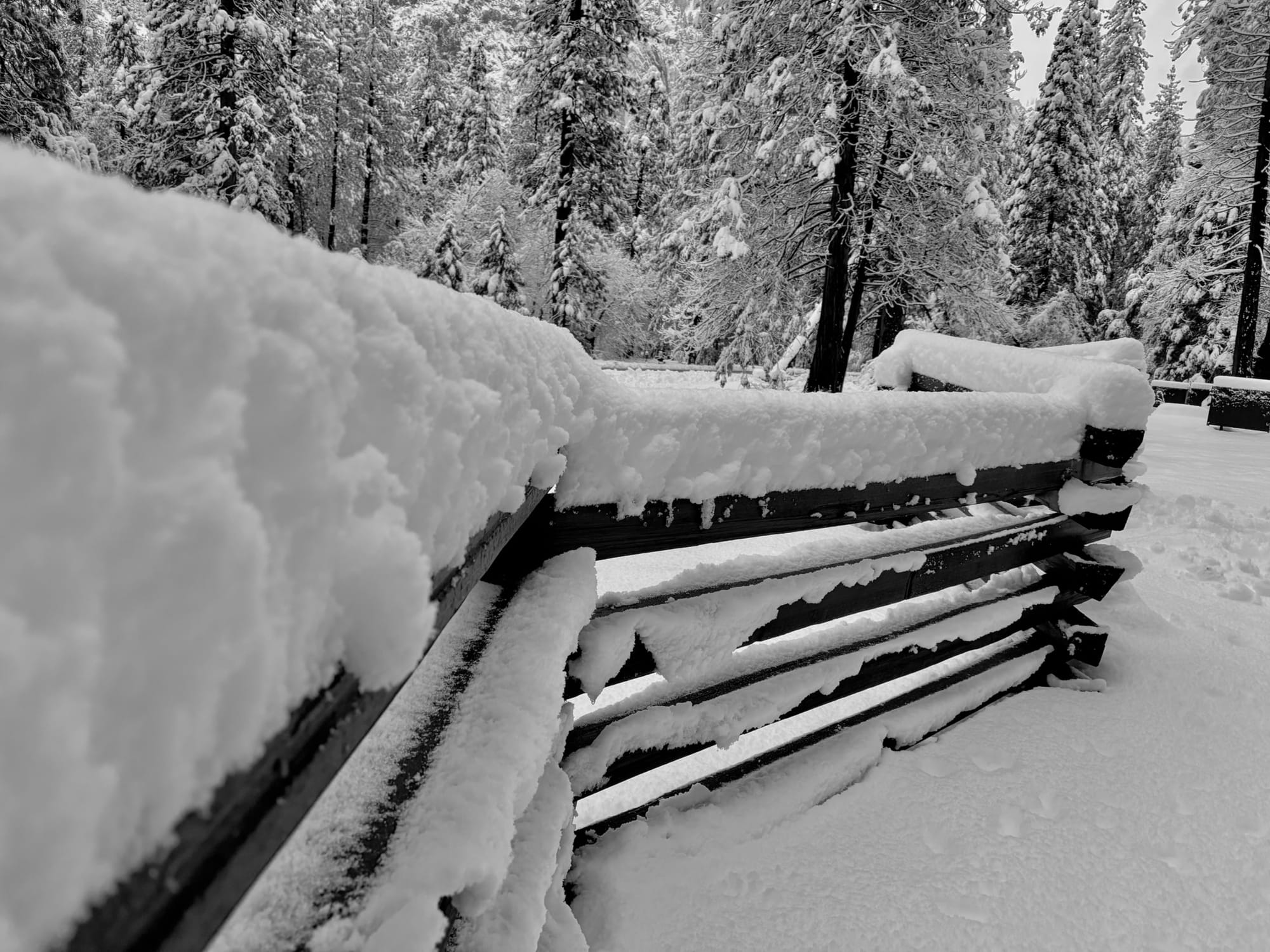 That Time I Slept On A Bathroom Floor In Yosemite Valley