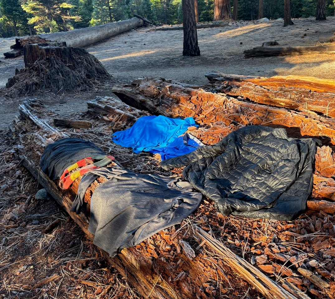 Camping gear is laid out on a large, fallen log. The items include a black sleeping bag, a bright blue rain jacket, and a black bivy sack, all resting on a bed of pine needles and fallen leaves.