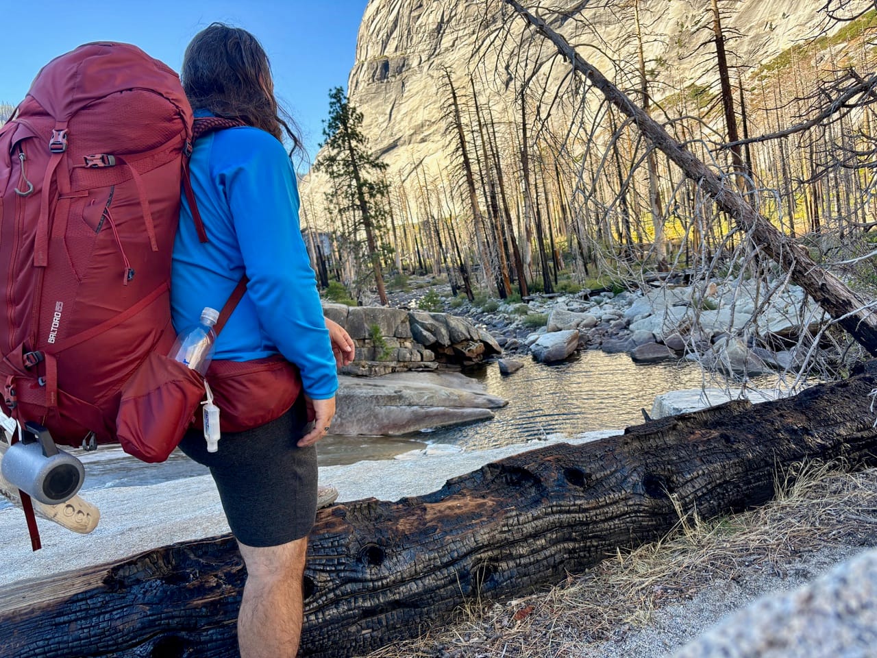 A hiker with a red backpack stands next to a charred log, looking at a river and rocky landscape with tall cliffs and sparse trees.