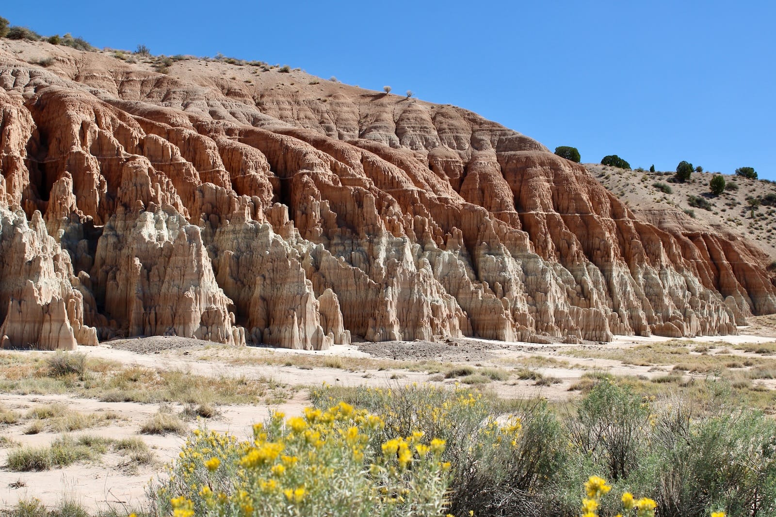 Striking arid landscape with layered red rock formations, sparse vegetation, and a clear blue sky.