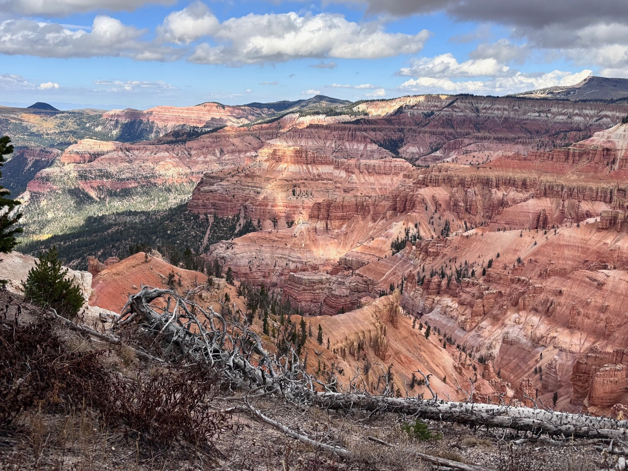 A sweeping panoramic view of a canyon landscape, showcasing layers of vibrant red and orange rock formations. The canyon walls are intricately carved, revealing the earth's geological history. Green trees cling to the canyon rims. A partly cloudy sky stretches overhead.