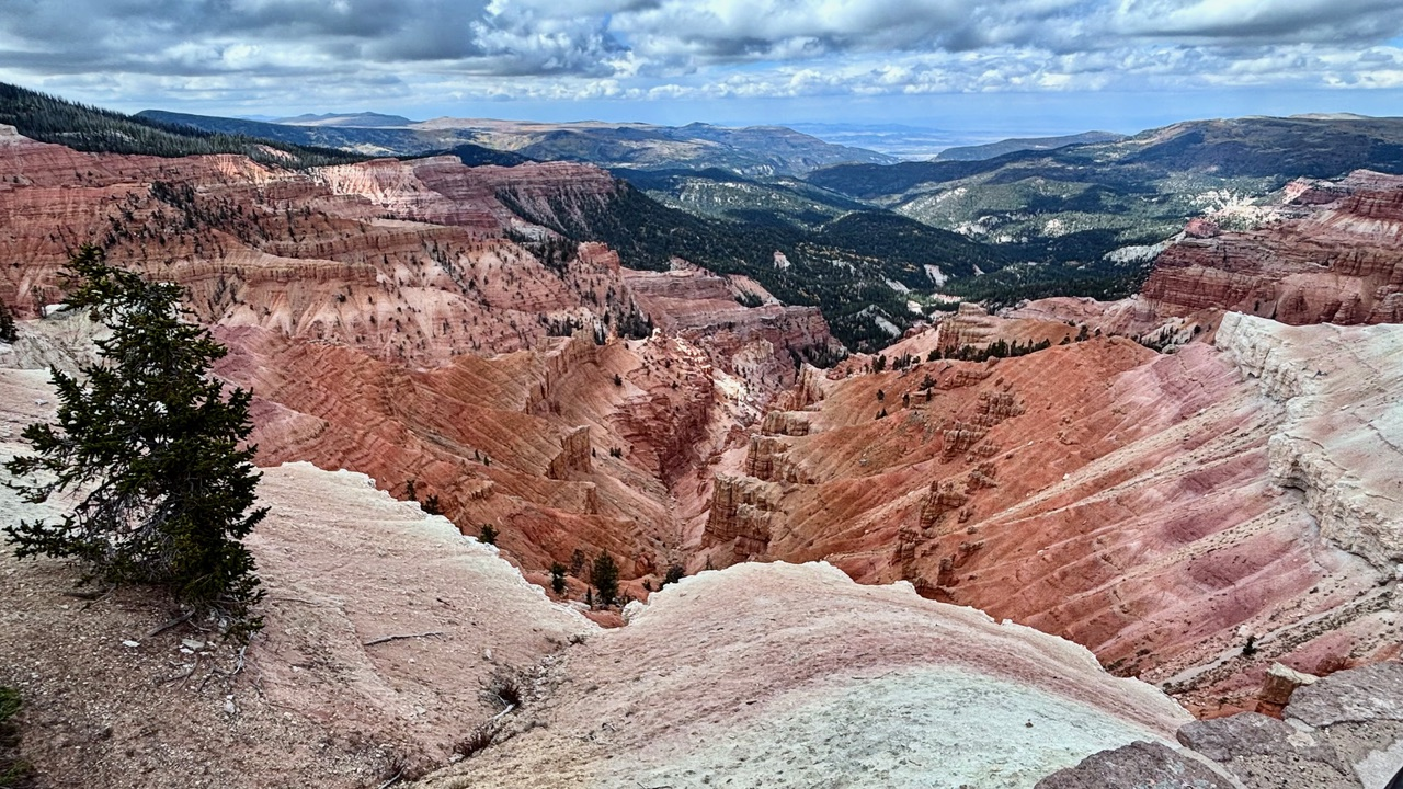 Numerous hoodoos fill a canyon, creating a dramatic and otherworldly landscape. The hoodoos display a range of colors, from creams and whites to oranges and reds. A scattering of green trees dot the canyon rim and surrounding hills. A cloudy sky provides a contrasting backdrop.