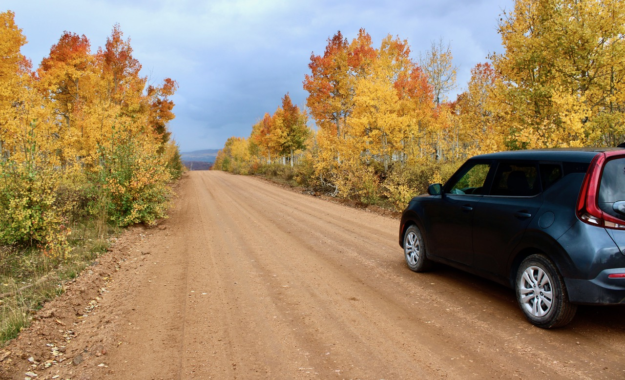 A dirt road stretches into the distance between vibrant autumn trees. The trees display a mix of orange, yellow, and red foliage against a cloudy sky. A dark-colored Kia Soul is parked on the side of the road.