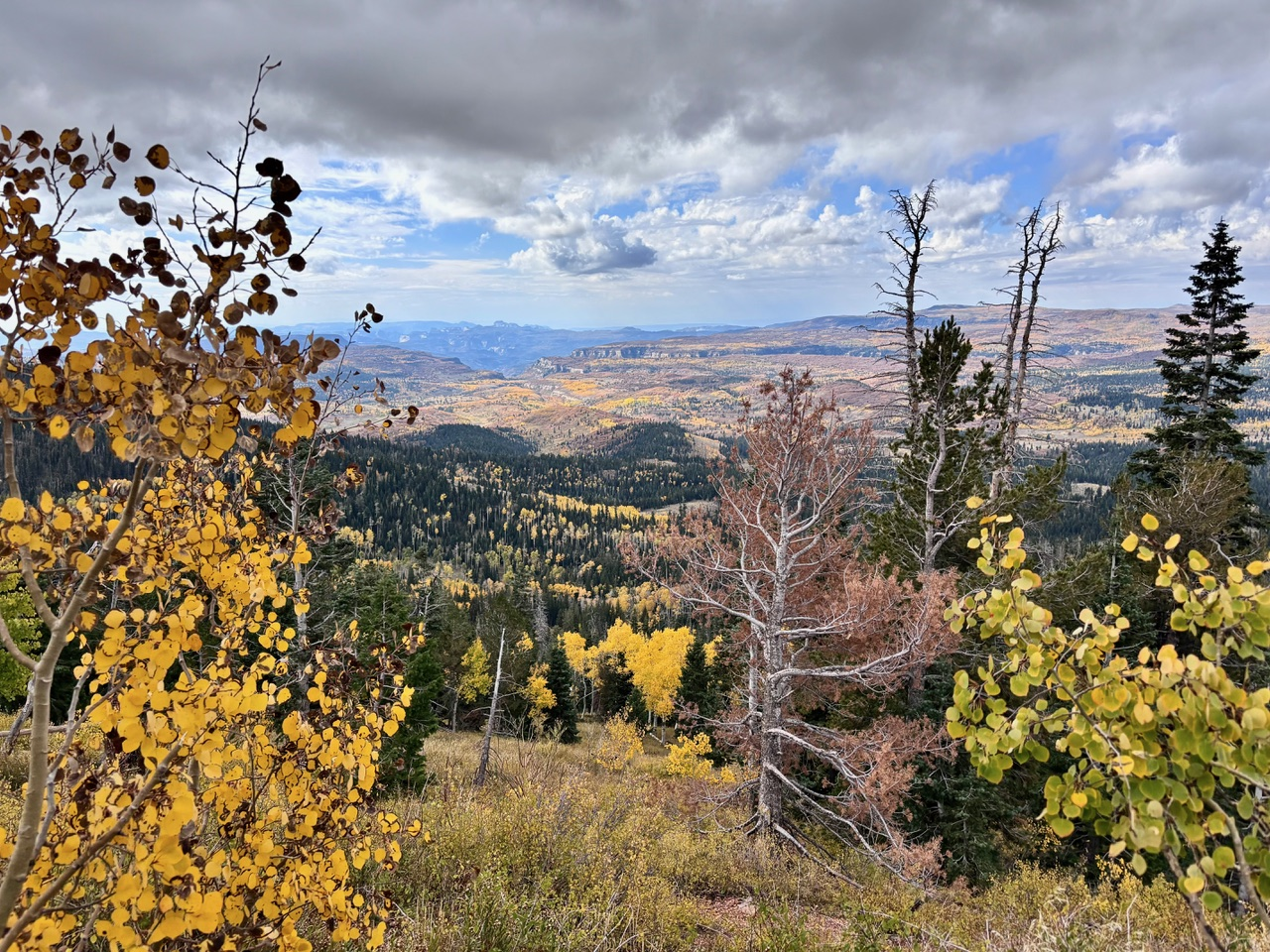 A panoramic view of a mountain landscape in autumn. The foreground shows trees with vibrant yellow and orange foliage. Beyond, a valley extends, filled with forests displaying a spectrum of fall colors - yellows, oranges, reds, and greens. Distant mountains are visible through a partly cloudy sky.