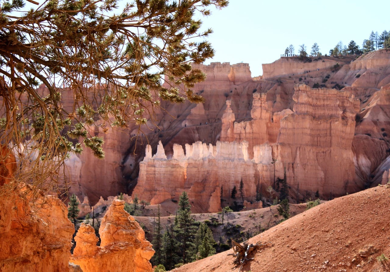 Hoodoos at Bryce Canyon National Park, displaying a range of colors from creams and whites to oranges and reds, catching the sunlight.