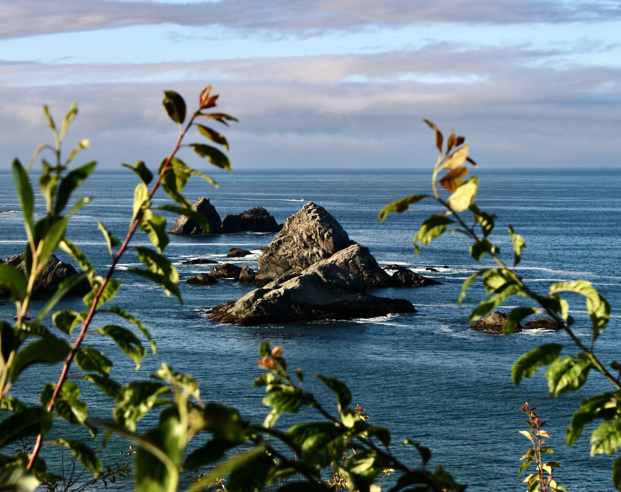 A wide, expansive view of a deep blue ocean stretches to the horizon, with several rocky outcroppings visible in the foreground. The rocky islands are partially obscured by green foliage in the lower left and right corners of the frame. The sky is overcast, creating a muted lighting effect.