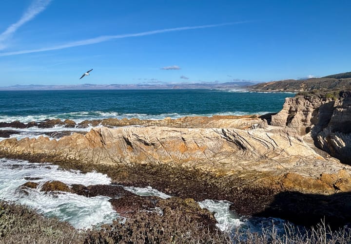 A scenic coastal landscape with rocky cliffs, a gently crashing sea, and a seagull flying above under a clear blue sky.