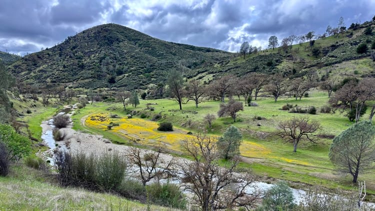 Backpacking Henry Coe State Park (Day 1): Escaping the Yosemite Bubble