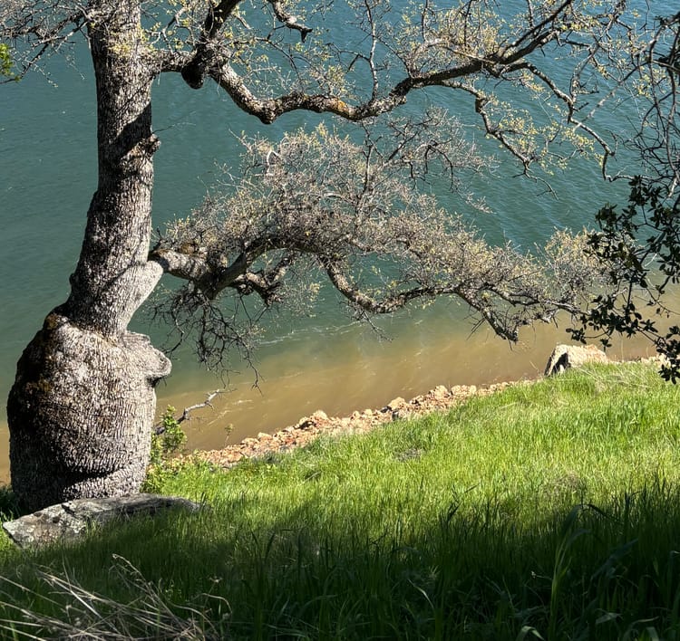 A New Adventure At New Melones Lake