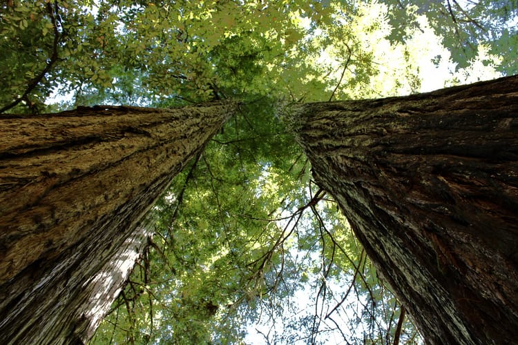 The "No iPhone / No GoPro" Challenge: Hiking Photos Without The Easy Button