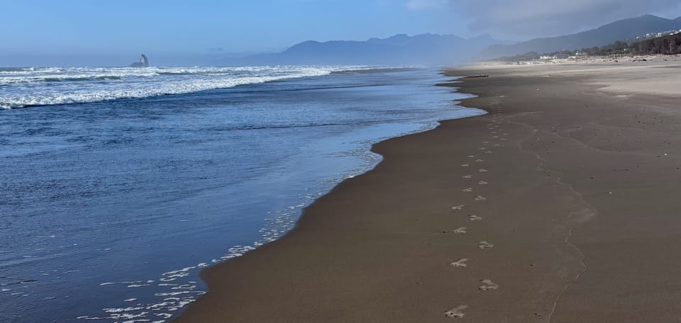 A single set of footprints along a coastal shore