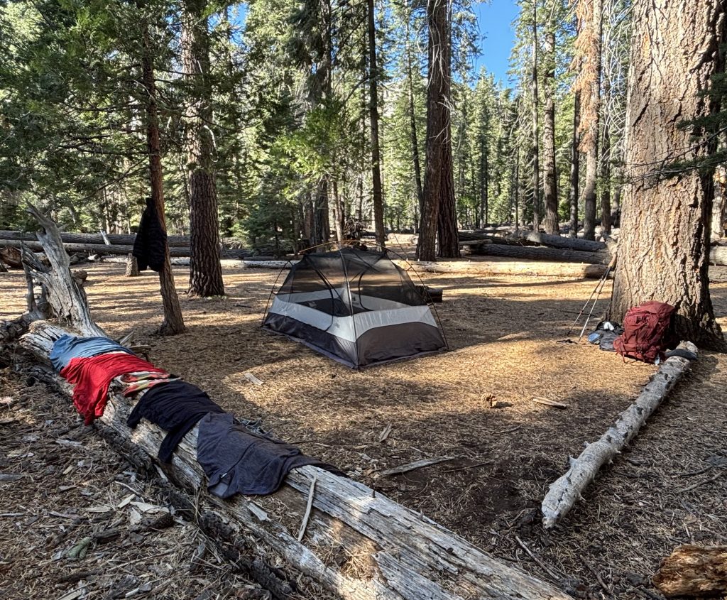 A small tent set up in a forested area with tall trees surrounding it. Clothing is laid out on a fallen tree, and a backpack is leaning against another tree.