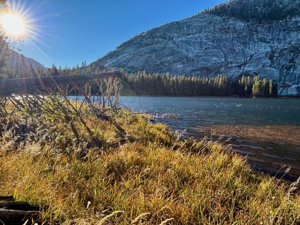 A wide view of Lake Merced, a serene alpine lake surrounded by golden grasses and pine trees, under a bright blue sky.”