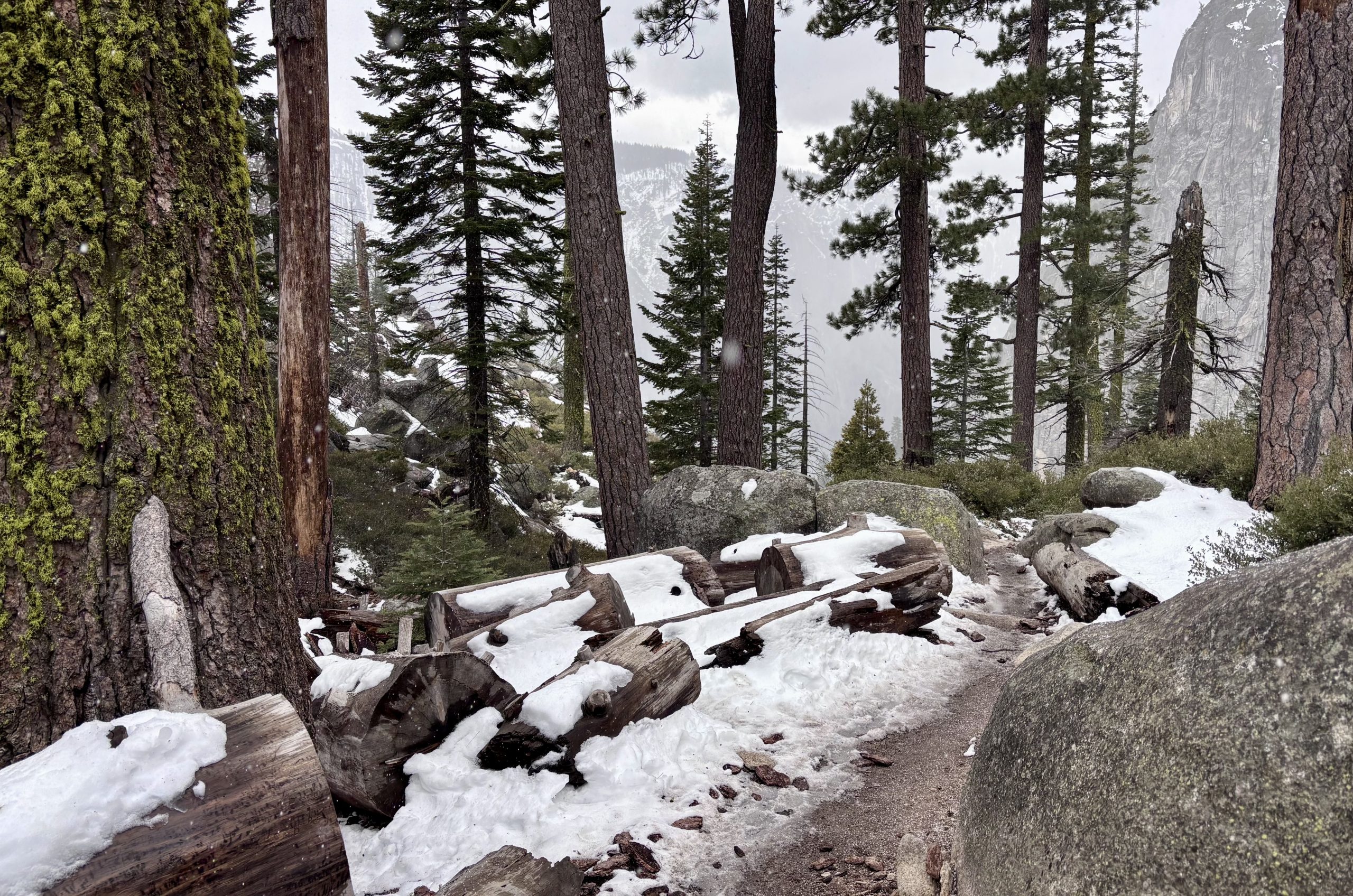 Snowy forest trail lined with fallen logs and large boulders, tall pine trees, and a misty mountain backdrop.