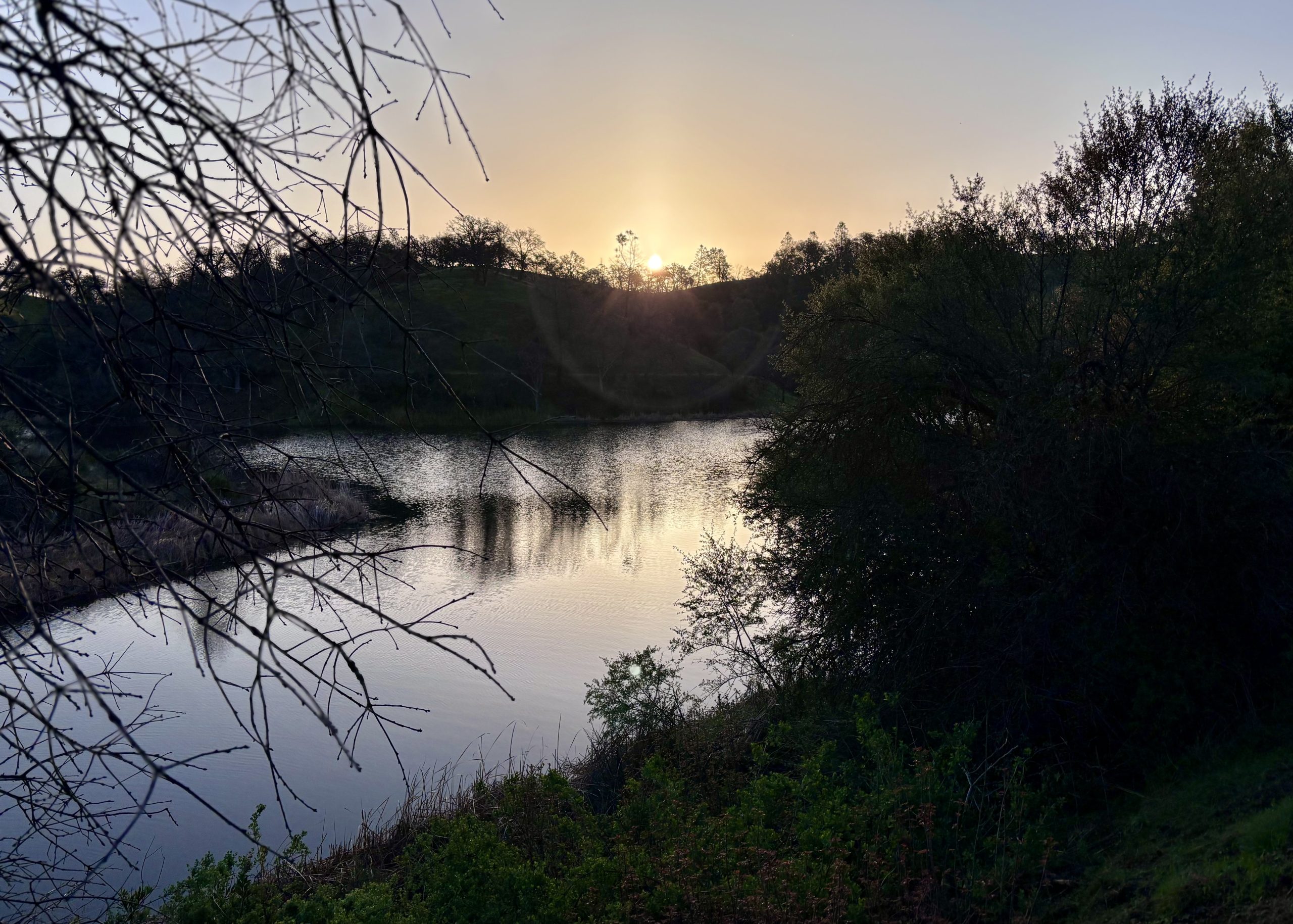 Sun rising over a calm lake surrounded by silhouetted trees and bushes, with bare branches framing the foreground.