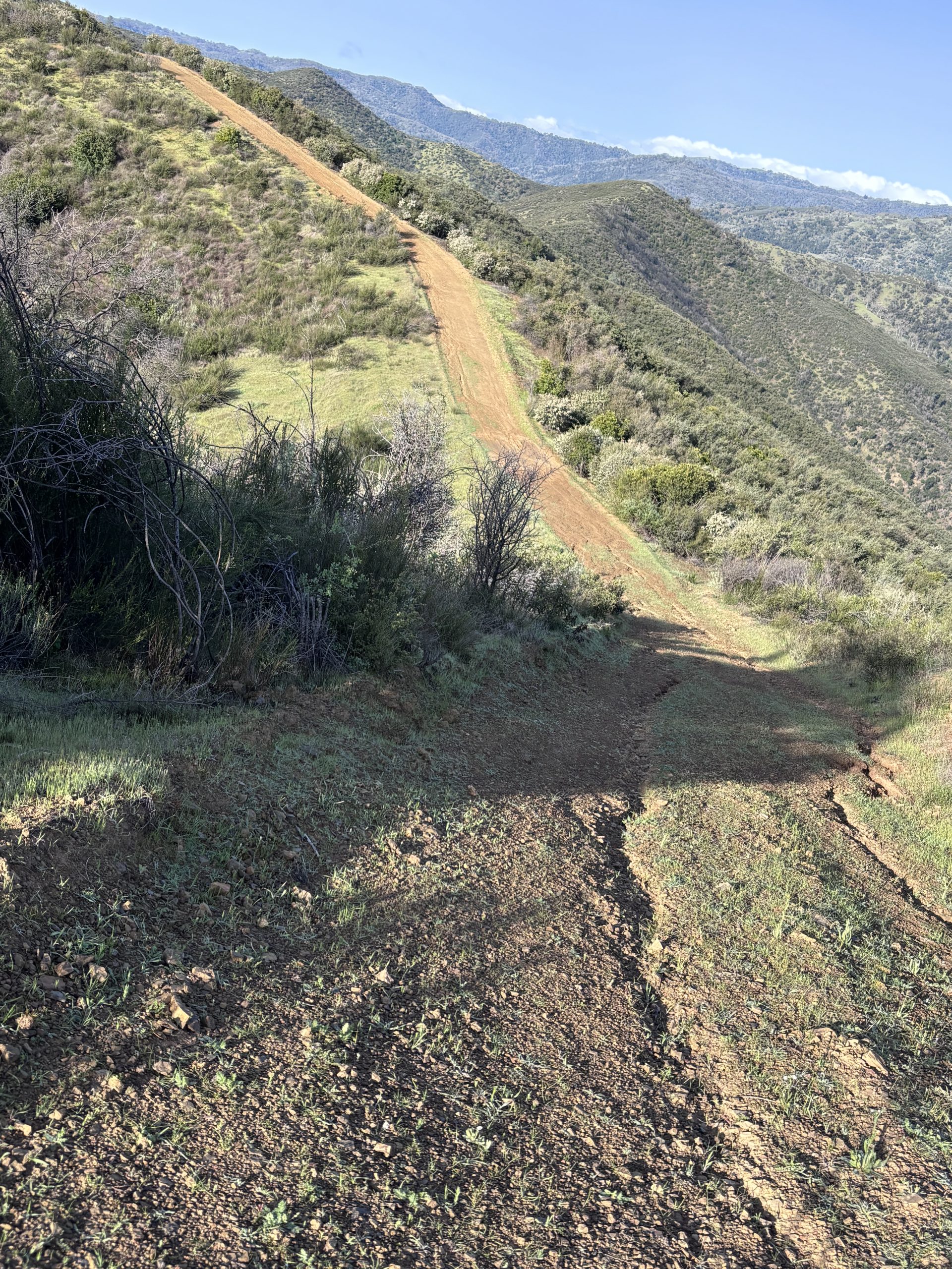 A steep, sunlit dirt trail cutting up a green, shrub-covered hillside with layered mountain ridges under a clear blue sky.