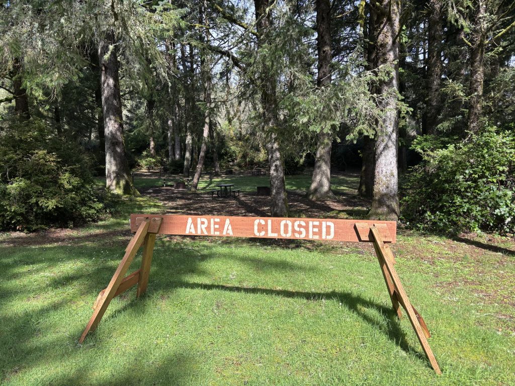 Wooden barricade reading “AREA CLOSED” standing on a sunlit grassy field, blocking access to a shaded picnic area surrounded by tall evergreen trees 