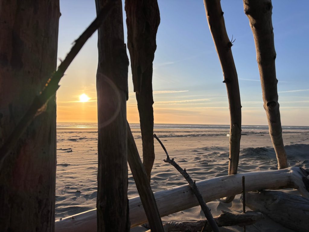 The current image has no alternative text. The file name is: IMG_3281.jpeg