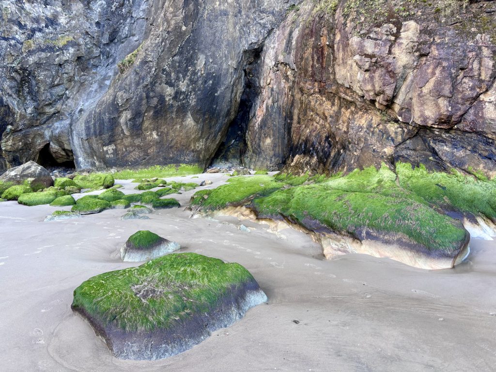A detailed shot of a section of the rocky coastline, showcasing the intricate patterns and textures of the stones. Vibrant green moss clings to the rocks, and the ground is covered with a thin layer of sand and scattered rocks.