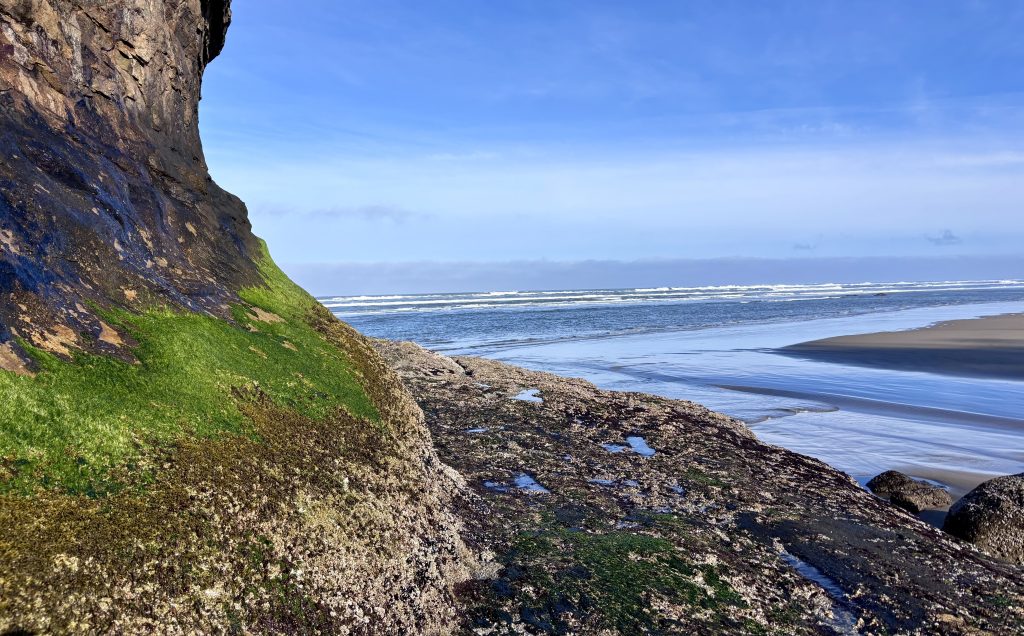 A close-up view of a rocky shoreline covered in vibrant green moss. Dark, textured rock faces rise up, creating a dramatic contrast against the pale sand. Small pools of water collect between the rocks.