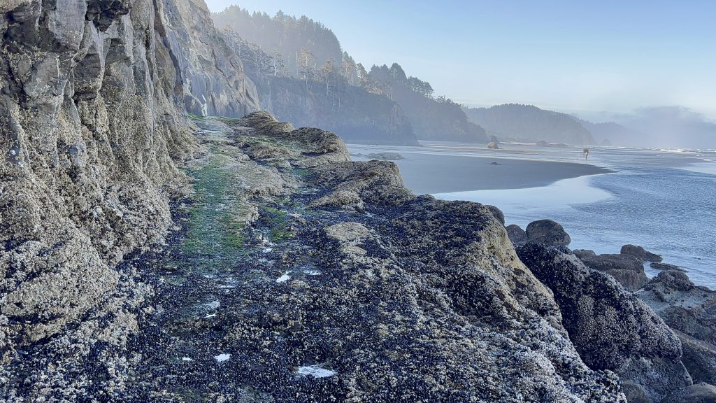 A wide, sweeping view of a rocky coastline. A person is visible walking along the sandy beach at the base of tall, forested cliffs. The rocky shoreline features moss-covered boulders and dark, textured stone. A misty haze hangs over the water and the distant forest.