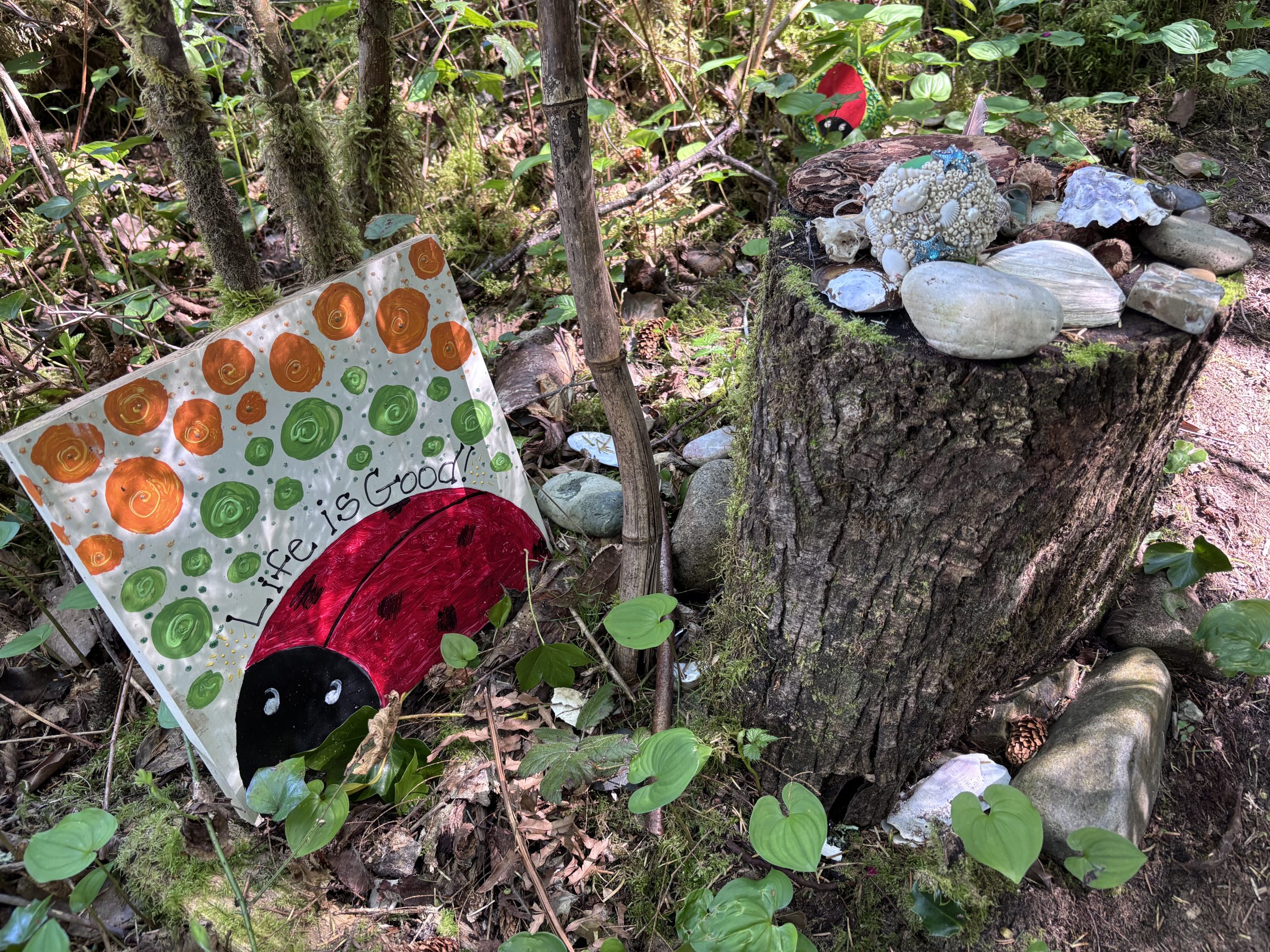 A weathered tree stump sits in a forest setting, adorned with a collection of painted rocks. One rock depicts a cartoon ladybug, adding a touch of whimsy and artistry to the natural scene.