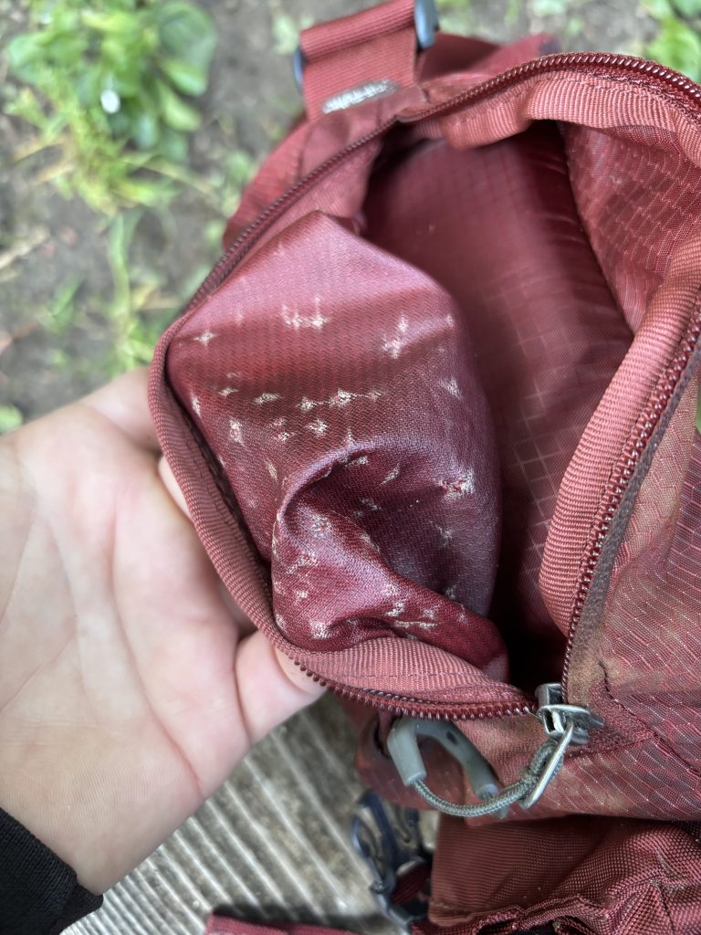 Close-up view of the inside of a red hiking backpack pocket showing bite marks on the fabric lining.