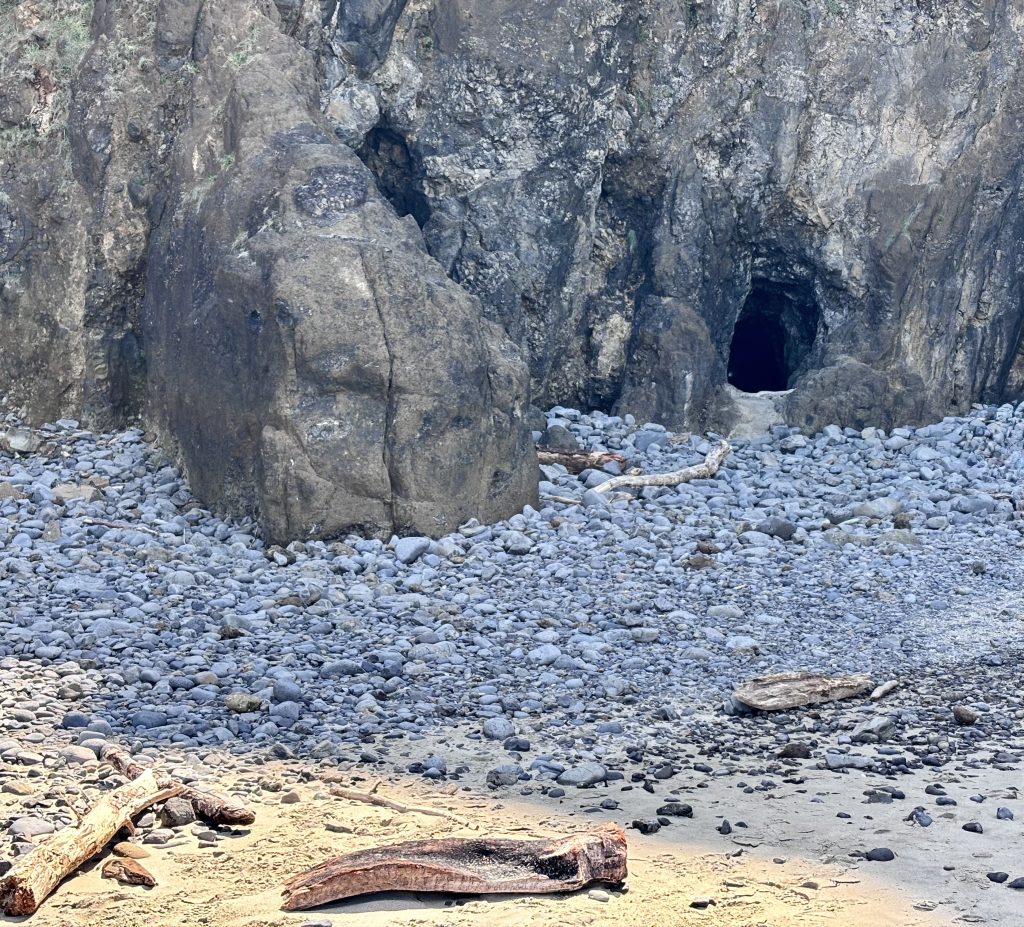 Small sea cave entrance at the base of a rocky cliff, surrounded by a pebble-covered shoreline with scattered driftwood on the sand in the foreground.