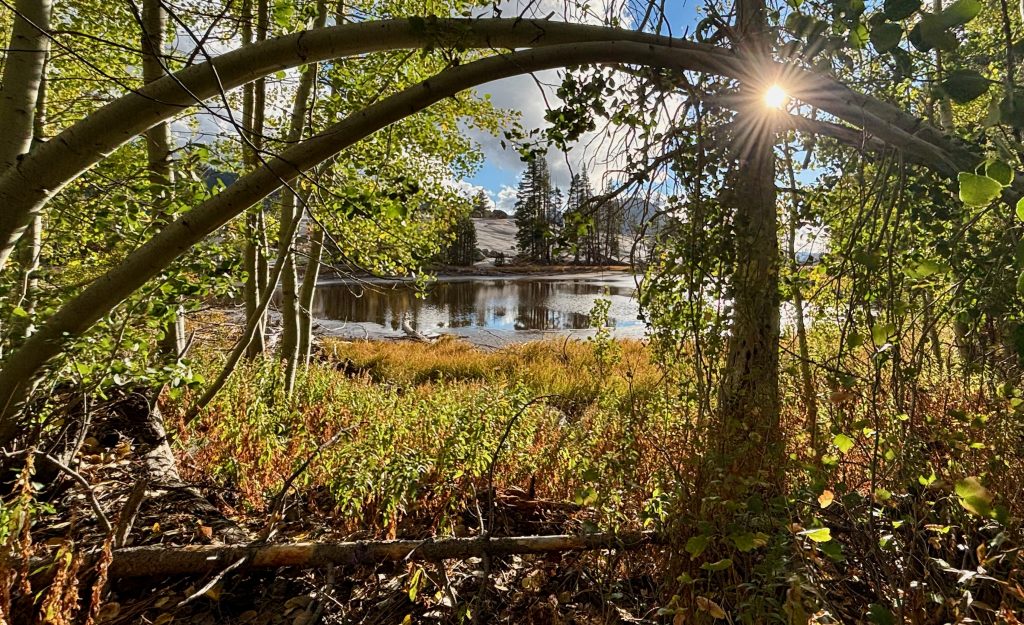 A forest viewpoint with a wooden archway framing a serene, reflective pond. The pond mirrors the surrounding trees and a bright blue sky.