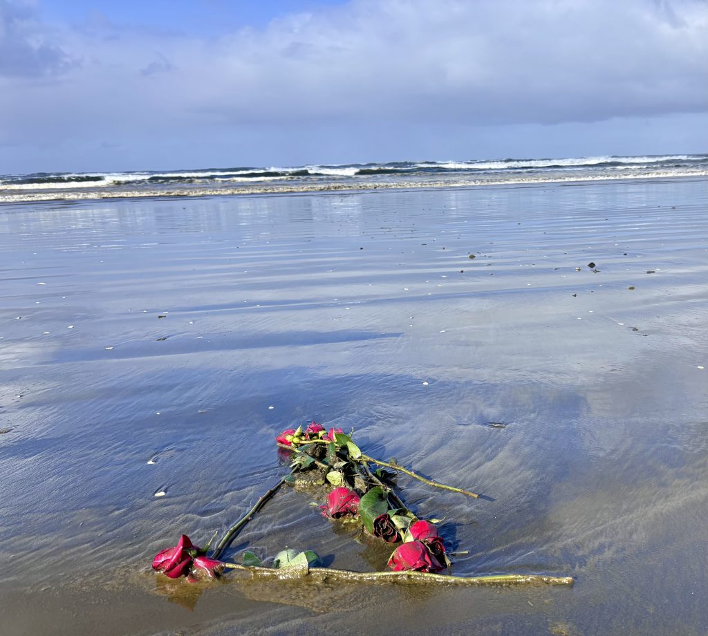 A bundle of red roses lies half-buried in the wet sand, where the Pacific tide meets the shore. A haunting and poetic scene on the Oregon Coast Trail, hinting at stories untold.