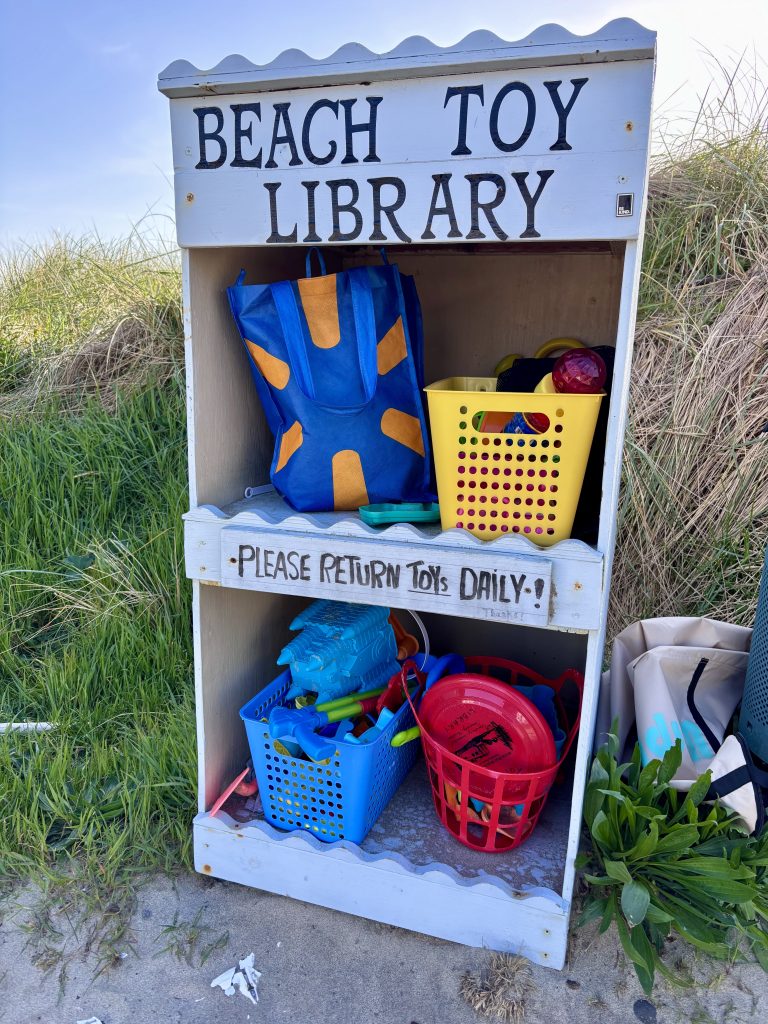 Community beach toy library shelf at the edge of sand dunes, filled with colorful sand toys including buckets, shovels, and a frisbee, with a handwritten sign reading “Please return toys daily!” and tall grass in the background.