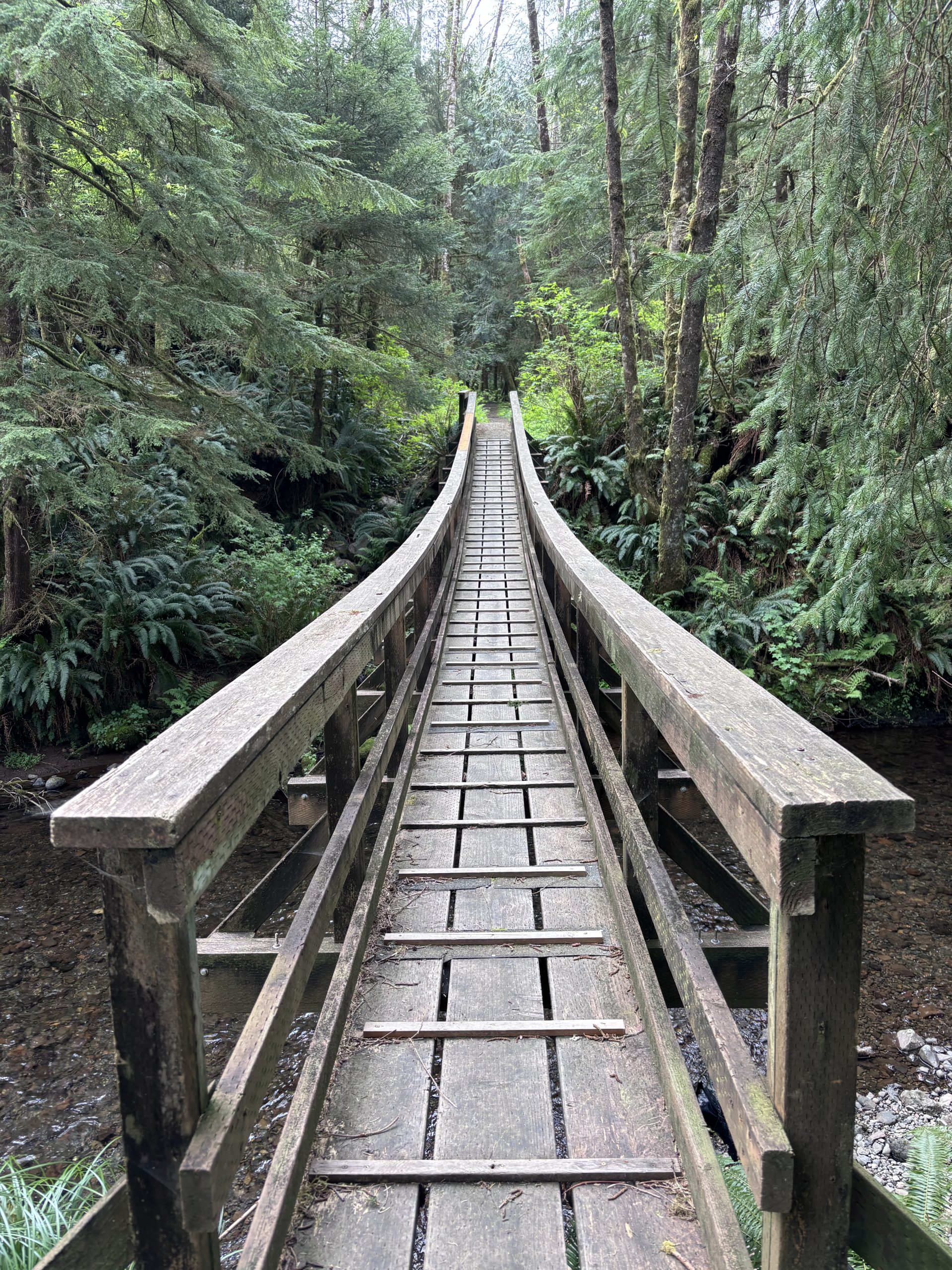 A perspective shot looking down a wooden bridge. The bridge curves upward, surrounded by dense, green foliage. It looks as though you're looking down from the center of the bridge.