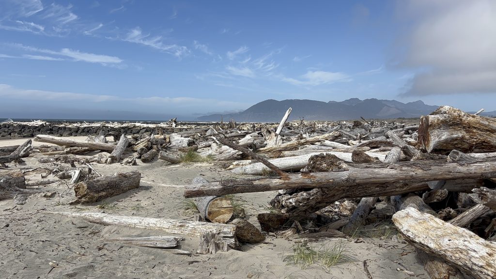 A vast, sandy beach stretches into the distance, lined with a dense accumulation of driftwood logs. A bright blue sky and a hazy horizon with distant mountains create a serene coastal scene.