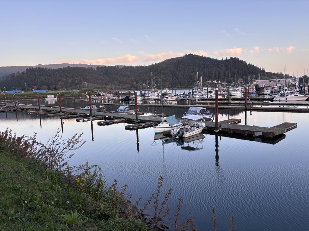 A calm harbor scene with numerous boats and yachts docked along piers. Reflections of the vessels create a mirrored effect on the water, surrounded by grassy hills.