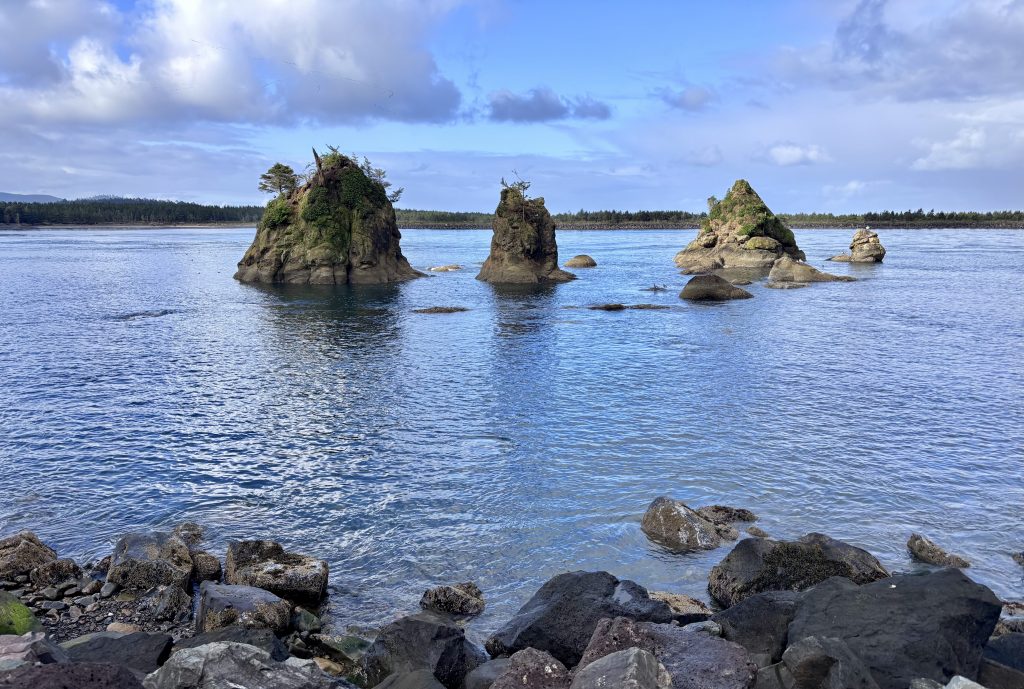 Scenic view of rocky sea stacks topped with trees, surrounded by calm blue water under a partly cloudy sky on the Oregon Coast.