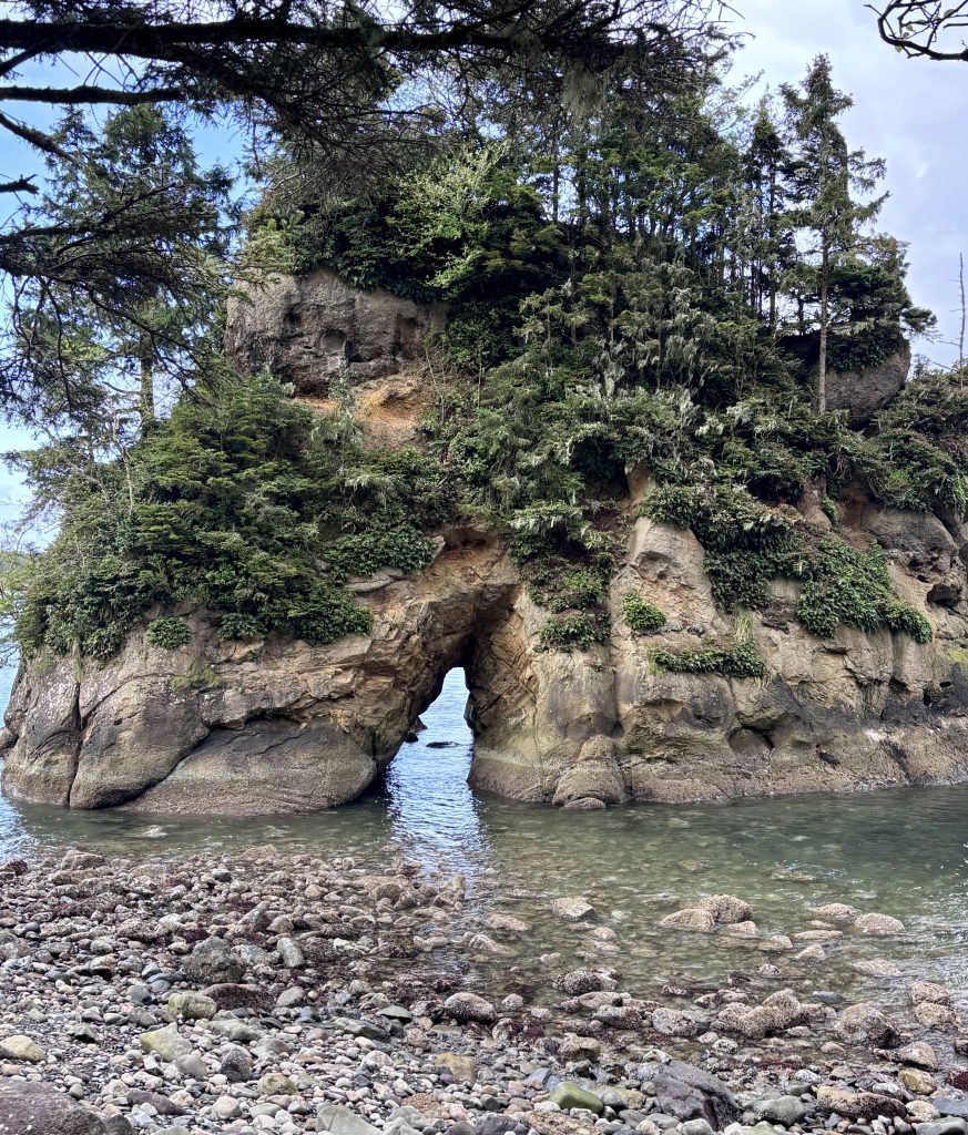 Natural sea arch in a mossy, forested sea stack with exposed roots and pebbled shoreline, captured at low tide on the Oregon Coast.