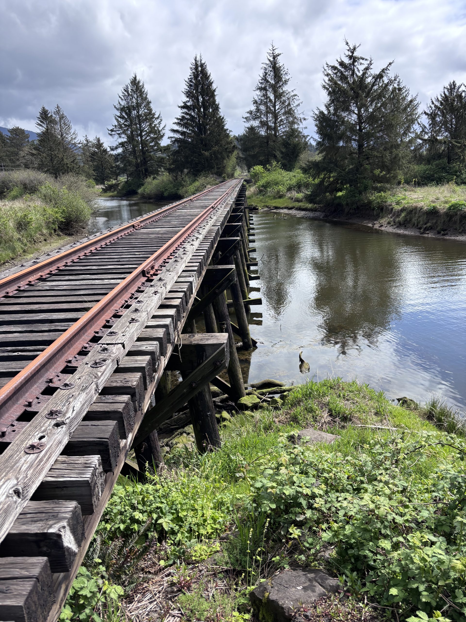 Old wooden railroad bridge crossing a calm river surrounded by lush greenery and evergreen trees near Tillamook, Oregon.