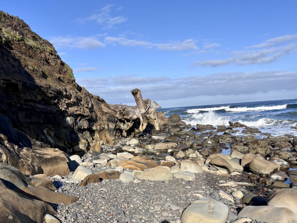 Rocky coastal scene with a mix of smooth and jagged boulders at low tide, waves breaking in the distance beneath a clear blue sky along the Oregon Coast.