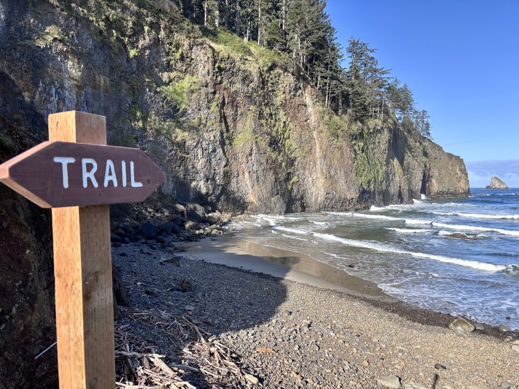Wooden trail sign pointing toward a rugged beach with steep cliffs, scattered driftwood, and gentle waves under a bright blue sky.
