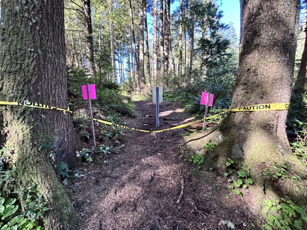 Forest trail blocked by yellow caution tape and pink warning signs stretched between trees, with sunlight filtering through tall evergreens in the background.