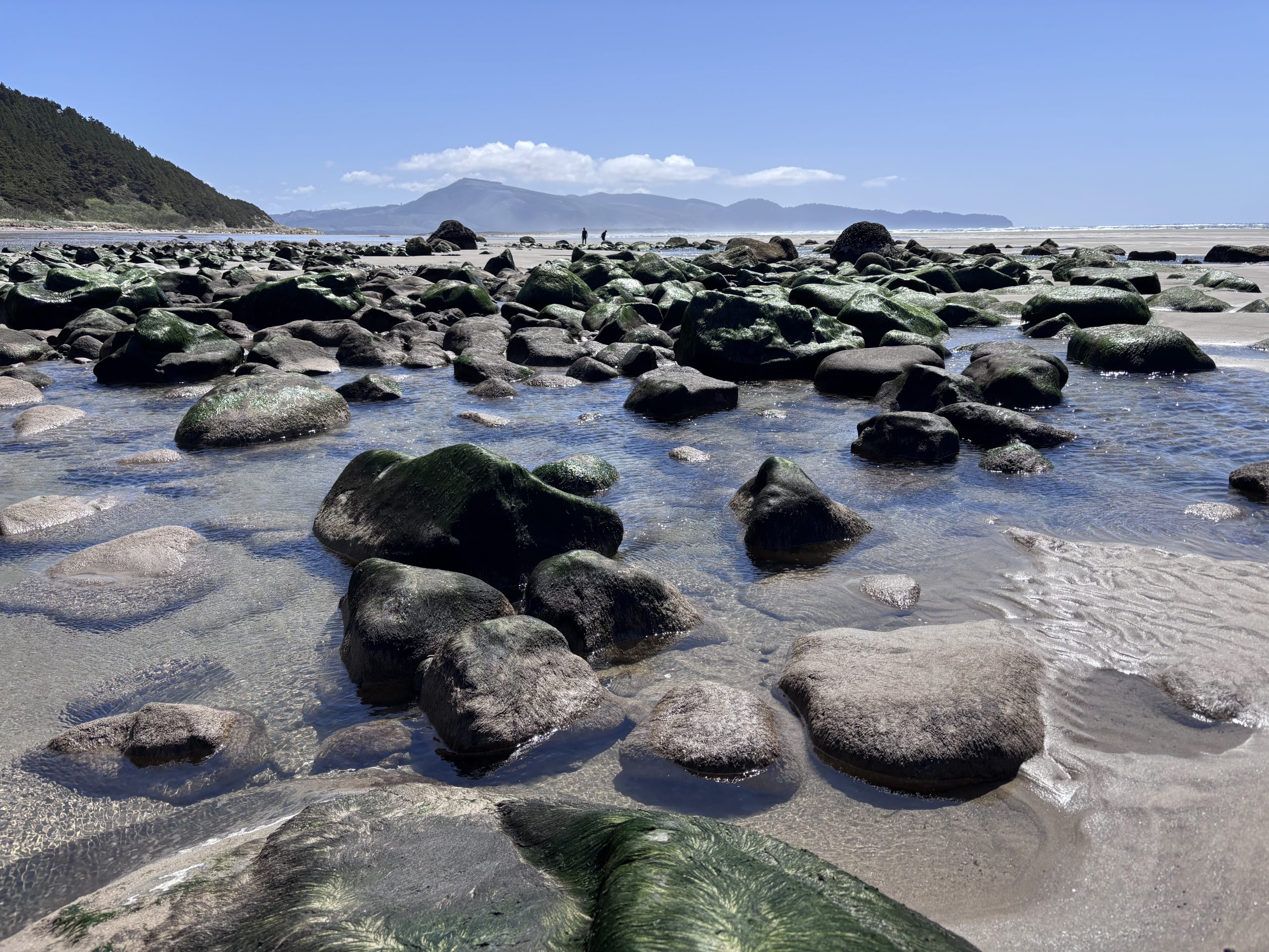 Moss-covered rocks scattered across a sandy tidal flat with shallow pools of seawater reflecting a hazy mountain backdrop.