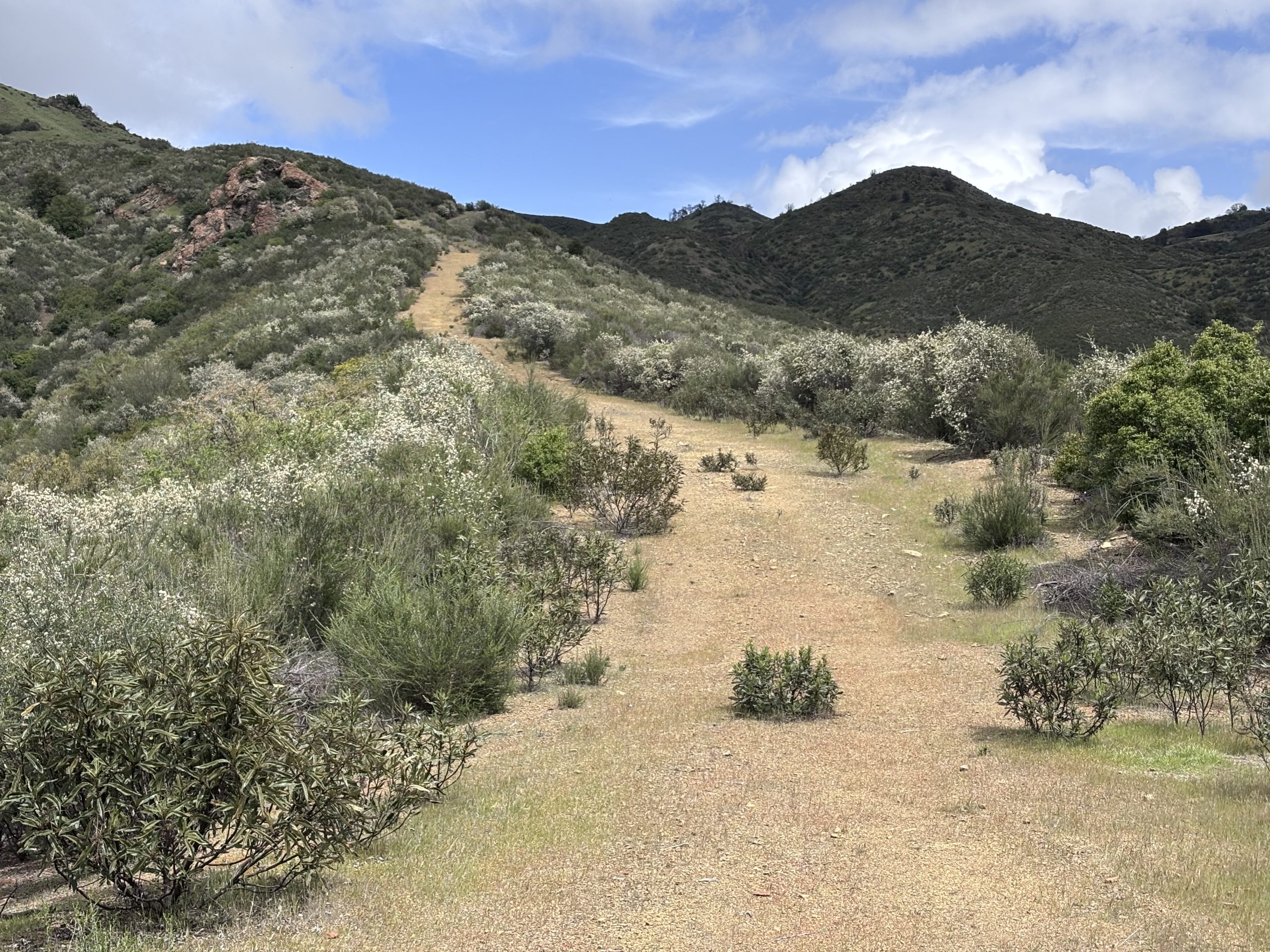 Dirt trail rising over a grassy, shrub-covered hill under a cloudy sky.