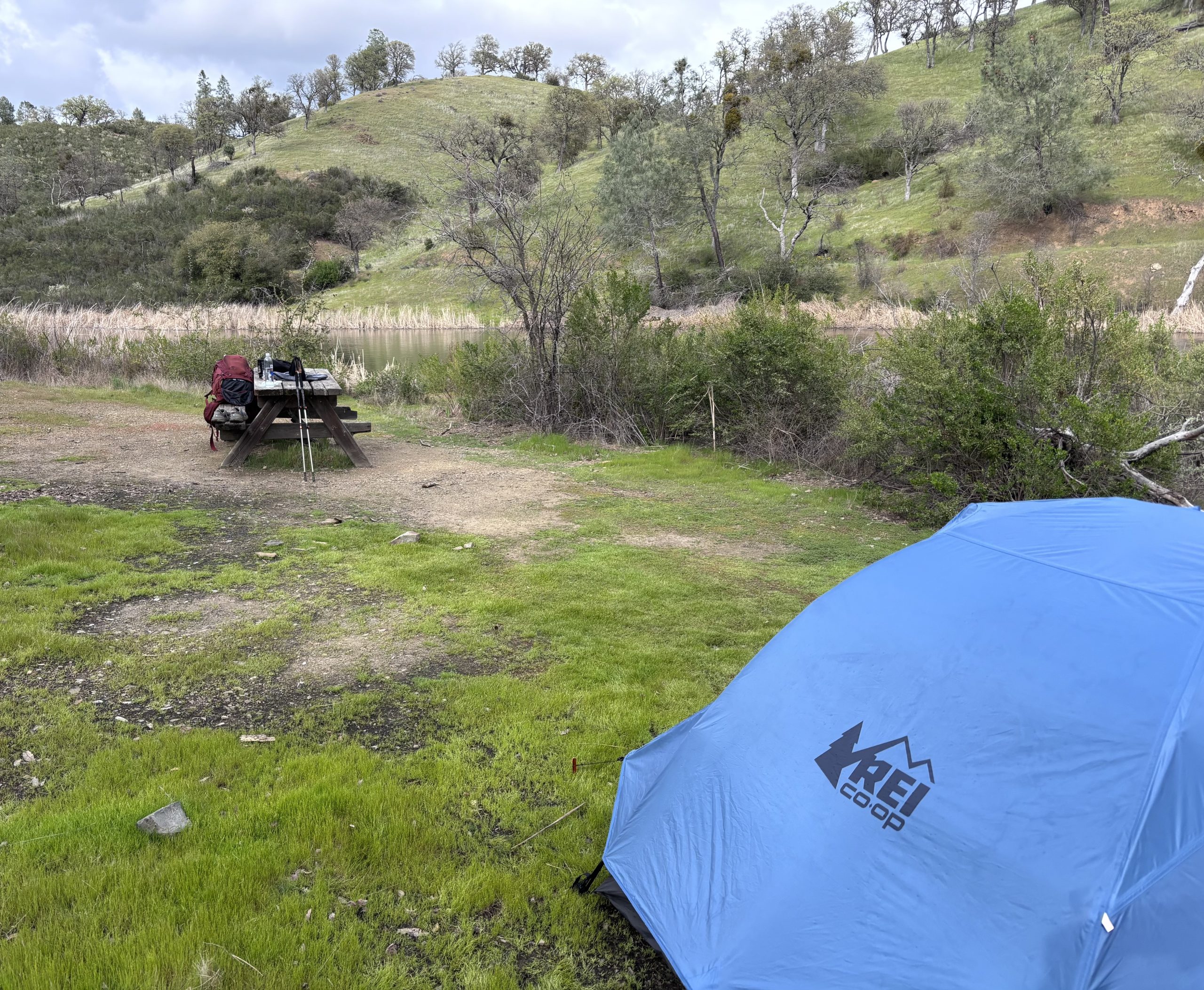 Blue REI tent pitched on green grass beside a picnic table with a red backpack and hiking poles; rolling tree-covered hills and a small pond in the background.